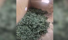 Վաղարշապատի ոստիկանները մեթամֆետամին, մարիխուանա և հուշանվեր թղթադրամներ են հայտնաբերել Վաղարշապատի ոստիկանները մեթամֆետամին, մարիխուանա և հուշանվեր թղթադրամներ են հայտնաբերել