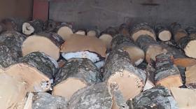 Մեքենան բեռնված էր հաճարենու կոճղերով. Արմավիրի համայնքային ոստիկանների բացահայտումը Մեքենան բեռնված էր հաճարենու կոճղերով. Արմավիրի համայնքային ոստիկանների բացահայտումը