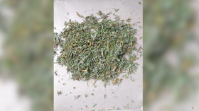 Աշտարակի քրեական հետախույզների պայքարը թմրամոլության դեմ շարունակվում է Աշտարակի քրեական հետախույզների պայքարը թմրամոլության դեմ շարունակվում է