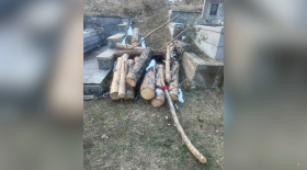 Դիլիջանի ոստիկանները բացահայտել են ապօրինի ծառահատում Դիլիջանի ոստիկանները բացահայտել են ապօրինի ծառահատում