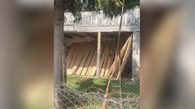 Ապօրինի ծառահատումների դեմ Տավուշի ոստիկանների պայքարի դրվագներ Ապօրինի ծառահատումների դեմ Տավուշի ոստիկանների պայքարի դրվագներ