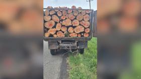 Տավուշի ոստիկանները փայտանյութով բեռնված մեքենա են հայտնաբերել Տավուշի ոստիկանները փայտանյութով բեռնված մեքենա են հայտնաբերել