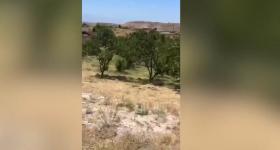 Գառնիի գյուղապետը 2007 թվականին համայնքին պատճառել էր ավելի քան 29-միլիոն դրամի վնաս Գառնիի գյուղապետը 2007 թվականին համայնքին պատճառել էր ավելի քան 29-միլիոն դրամի վնաս