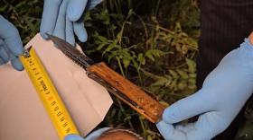 Դիլիջանում կատարված սպանությունը բացահայտվել է Դիլիջանում կատարված սպանությունը բացահայտվել է