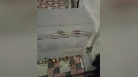 20-ամյա երիտասարդը վիճաբանության ժամանակ դանակահարել էր համաքաղաքացուն 20-ամյա երիտասարդը վիճաբանության ժամանակ դանակահարել էր համաքաղաքացուն