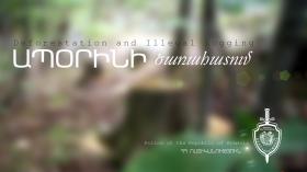 «ԿամԱԶ»-ի վարորդը ապօրինի ձեռք բերված փայտանյութը գնել էր անտառապահից «ԿամԱԶ»-ի վարորդը ապօրինի ձեռք բերված փայտանյութը գնել էր անտառապահից