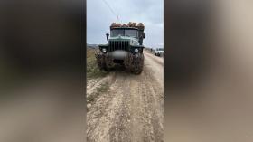 Ապօրինի ծառահատումների դեմ ոստիկանության պայքարը շարունակական է Ապօրինի ծառահատումների դեմ ոստիկանության պայքարը շարունակական է