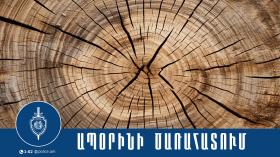 Կապանի համայնքային ոստիկանները ապօրինի ծառահատման դեպք են բացահայտել Կապանի համայնքային ոստիկանները ապօրինի ծառահատման դեպք են բացահայտել
