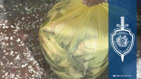 Նորատուսցի տղամարդու մեքենայում ապօրինի որսած սիգ տեսակի ձուկ կար Նորատուսցի տղամարդու մեքենայում ապօրինի որսած սիգ տեսակի ձուկ կար