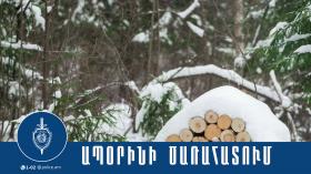 Ապօրինի ծառահատում Ազատանում Ապօրինի ծառահատում Ազատանում