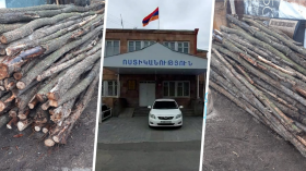 Հատել էր 104 բարդի. Վարդենիսի համայնքային ոստիկանների բացահայտումը Հատել էր 104 բարդի. Վարդենիսի համայնքային ոստիկանների բացահայտումը