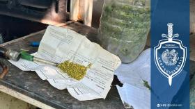 Արմավիրիցի երիտասարդը ձերբակալվել է․ հայտնաբերվել է խոշոր չափերի մարիխուանա Արմավիրիցի երիտասարդը ձերբակալվել է․ հայտնաբերվել է խոշոր չափերի մարիխուանա