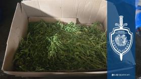 Արարատի բնակիչը ամառանոցում առանձնապես խոշոր չափի թմրանյութ էր պահում․ նա ձերբակալվել է Արարատի բնակիչը ամառանոցում առանձնապես խոշոր չափի թմրանյութ էր պահում․ նա ձերբակալվել է