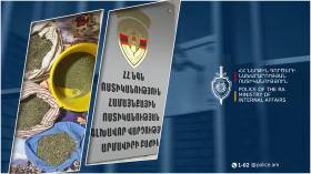 Մեծամորցի տղամարդու տանը կես կիլոգրամից ավելի մարիխուանա է հայտնաբերվել․ նա ձերբակալվել է Մեծամորցի տղամարդու տանը կես կիլոգրամից ավելի մարիխուանա է հայտնաբերվել․ նա ձերբակալվել է