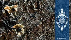 Թմրանյութ տեղադրող անձինք են ձերբակալվել․ Ամասիայի համայնքային ոստիկանների բացահայտումը Թմրանյութ տեղադրող անձինք են ձերբակալվել․ Ամասիայի համայնքային ոստիկանների բացահայտումը