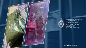 Ննջարանում աճում էր կանեփ, նաև հայտնաբերվեց 1 կգ-ից ավելի մարիխուանա. ՔՈԳՎ բացահայտումը Ննջարանում աճում էր կանեփ, նաև հայտնաբերվեց 1 կգ-ից ավելի մարիխուանա. ՔՈԳՎ բացահայտումը