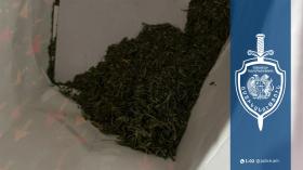 Արմավիրցի երիտասարդը ավտոտնակում թմրամիջոց էր պահում․ քրեական ոստիկանների բացահայտումը Արմավիրցի երիտասարդը ավտոտնակում թմրամիջոց էր պահում․ քրեական ոստիկանների բացահայտումը