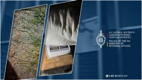 Համայնքային ոստիկանության Արմավիրի բաժնի ծառայողները տնամերձ հողամասում շուրջ 1 կգ 400 գրամ կանեփ են հայտնաբերել Համայնքային ոստիկանության Արմավիրի բաժնի ծառայողները տնամերձ հողամասում շուրջ 1 կգ 400 գրամ կանեփ են հայտնաբերել