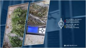 Մասիսի համայնքային ոստիկանները հայտնաբերել են կանեփ և նույն բույսից պատրաստված զանգված Մասիսի համայնքային ոստիկանները հայտնաբերել են կանեփ և նույն բույսից պատրաստված զանգված