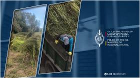 Մարտունու համայնքային ոստիկանները կանեփի 835 ցողուն են հայտնաբերել Մարտունու համայնքային ոստիկանները կանեփի 835 ցողուն են հայտնաբերել