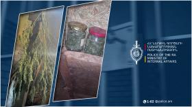 Գուսանագյուղում հայտնաբերվել է 270 գրամ մարիխուանա և կանեփի թփեր. Շիրակի քրեական ոստիկանների բացահայտումը Գուսանագյուղում հայտնաբերվել է 270 գրամ մարիխուանա և կանեփի թփեր. Շիրակի քրեական ոստիկանների բացահայտումը