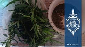 Թմրամոլության դեմ Շիրակի քրեական ոստիկանների պայքարի հերթական մի դրվագ Թմրամոլության դեմ Շիրակի քրեական ոստիկանների պայքարի հերթական մի դրվագ