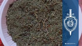 Ոսկեվազցի տղամարդու մոտ և ավտոտնակում մարիխուանա կար․ Աշտարակի համայնքային ոստիկանների բացահայտումը Ոսկեվազցի տղամարդու մոտ և ավտոտնակում մարիխուանա կար․ Աշտարակի համայնքային ոստիկանների բացահայտումը