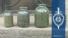 Հայտնաբերվել է 3,5 կիլոգրամից ավելի մարիխուանա. Արմավիրի քրեական ոստիկանների բացահայտումը Հայտնաբերվել է 3,5 կիլոգրամից ավելի մարիխուանա. Արմավիրի քրեական ոստիկանների բացահայտումը