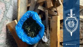 Արմավիրի մարզի ոստիկանները Լուսագյուղի 60-ամյա բնակչի տան բակում թմրամիջոց են հայտնաբերվել Արմավիրի մարզի ոստիկանները Լուսագյուղի 60-ամյա բնակչի տան բակում թմրամիջոց են հայտնաբերվել