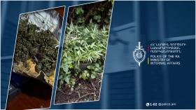 Ներքին Կարմիրաղբյուրի բնակիչը կանեփ էր աճեցնում․ Տավուշի համայնքային ոստիկանները բացահայտեցին դեպքը Ներքին Կարմիրաղբյուրի բնակիչը կանեփ էր աճեցնում․ Տավուշի համայնքային ոստիկանները բացահայտեցին դեպքը