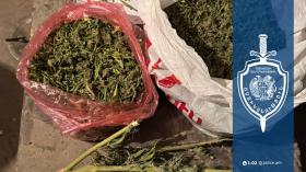 Վեդիի համայնքային ոստիկանները տղամարդու տանը մարիխուանա են հայտնաբերել Վեդիի համայնքային ոստիկանները տղամարդու տանը մարիխուանա են հայտնաբերել