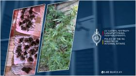 Տավուշի բաժնի համայնքային ոստիկանները կանեփ աճեցնելու և թմրամիջոց պատրաստելու դեպք են բացահայտել Տավուշի բաժնի համայնքային ոստիկանները կանեփ աճեցնելու և թմրամիջոց պատրաստելու դեպք են բացահայտել